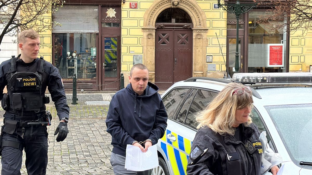 Soud potvrdil muži osm let vězení za požár stájí v Praze, při kterém uhořeli koně